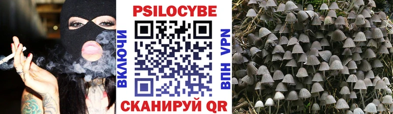 Псилоцибиновые грибы Psilocybine cubensis  купить наркоту  маркетплейс телеграм  Коломна  kraken вход 